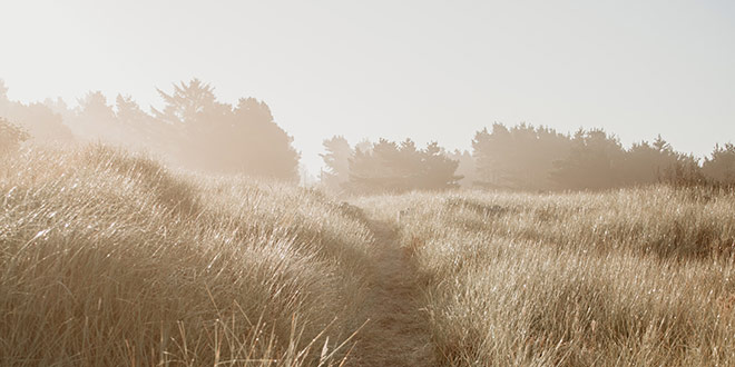 hoe stress verminderen